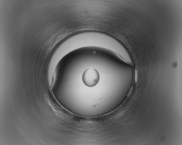 X0000116000205200912101325