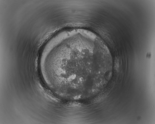 X0000116000206200912101325