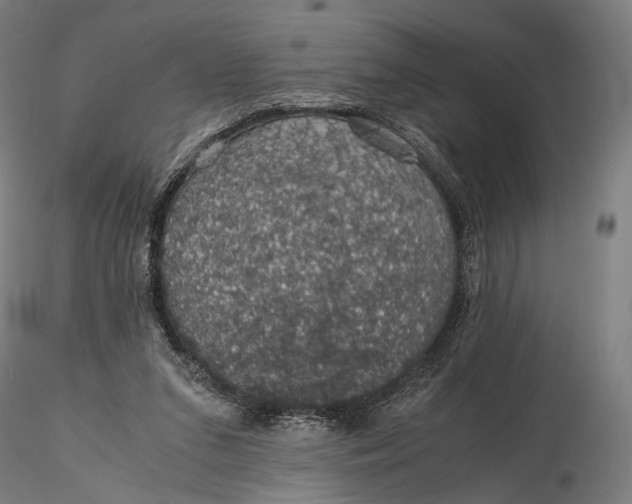 X0000116000207200912101325