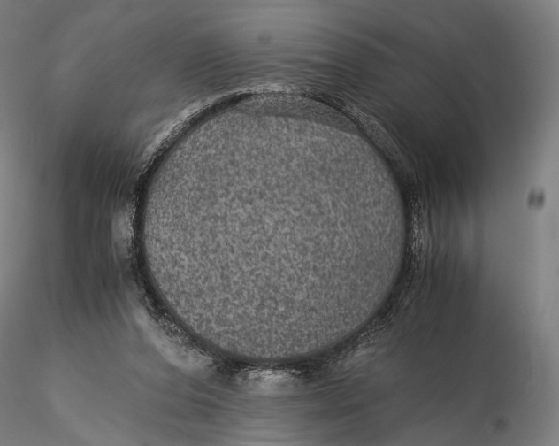 X0000116000208200912101325