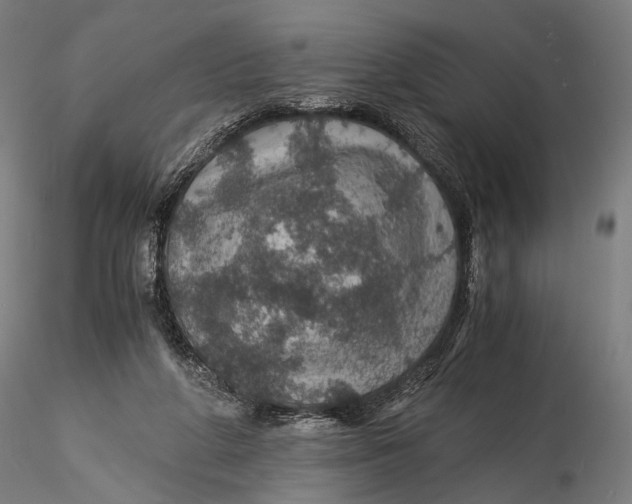 X0000116000210200912101325