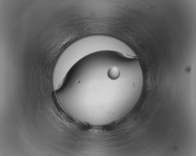 X0000116000211200912101325