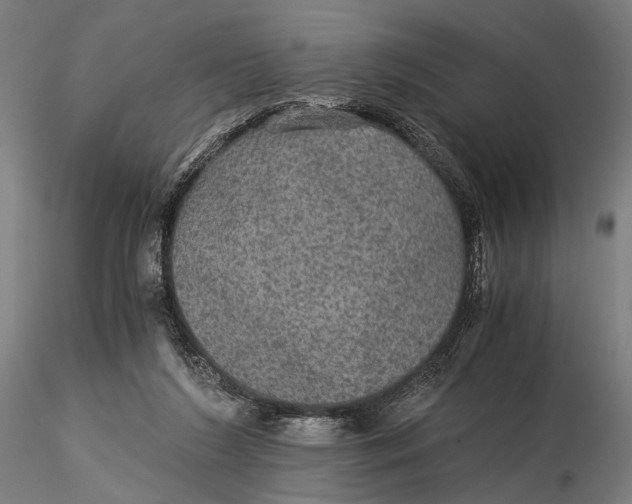 X0000116000212200912101325