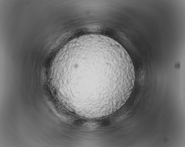 X0000116000213200912101325