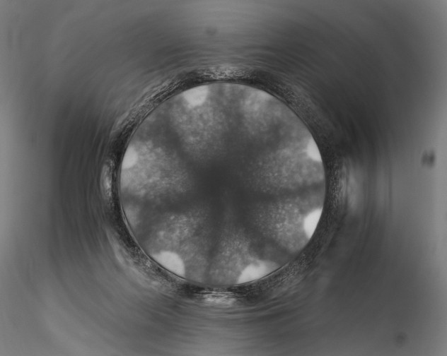 X0000116000214200912101325