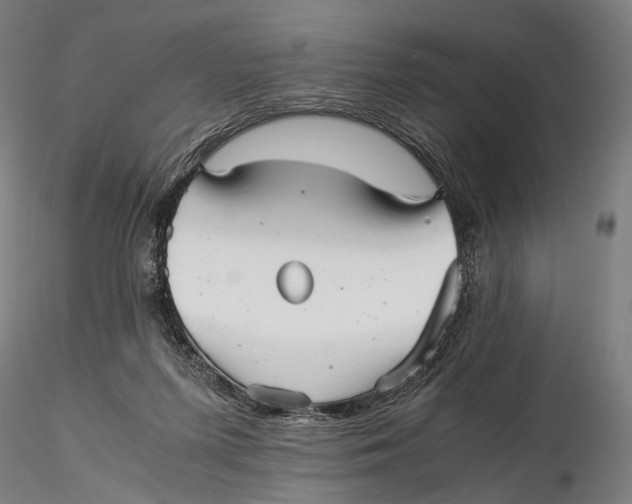 X0000116000215200912101325