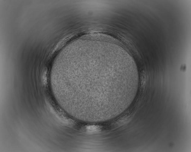 X0000116000216200912101325