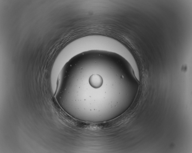 X0000116000217200912101325