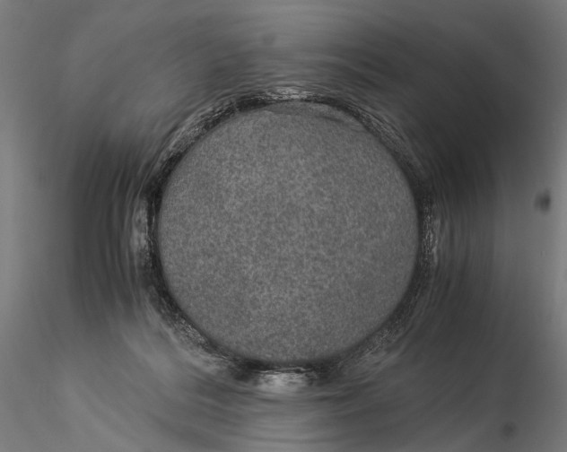 X0000116000220200912101325