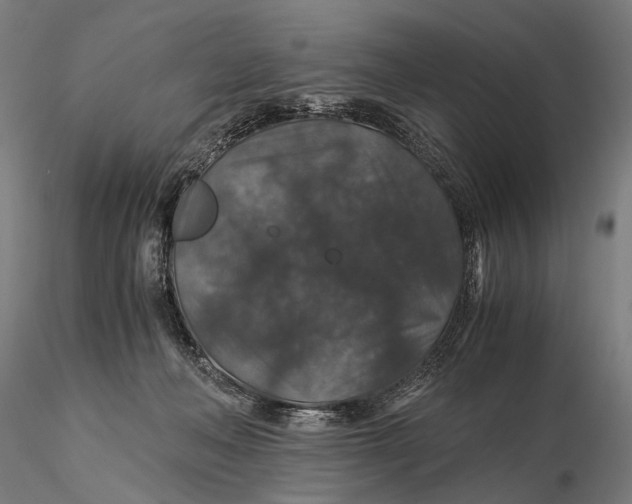 X0000116000222200912101325