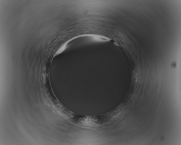 X0000116000223200912101325