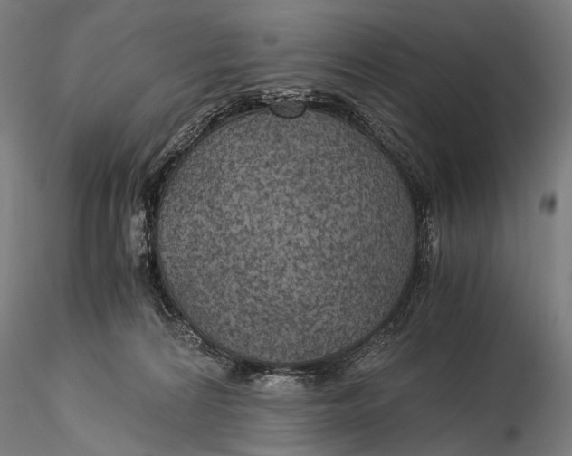 X0000116000224200912101325