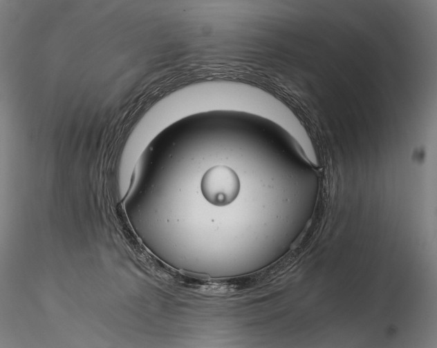 X0000116000225200912101325