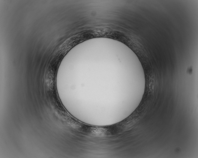 X0000116000226200912101325