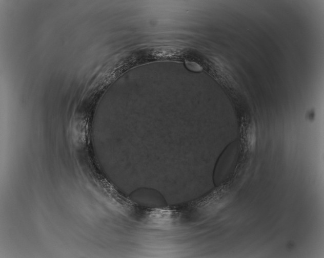 X0000116000227200912101325