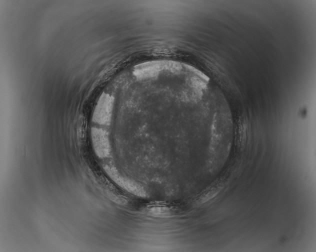 X0000116000228200912101325