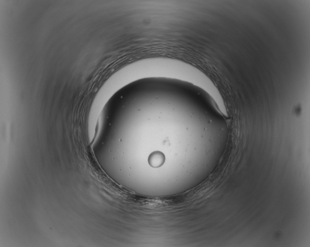 X0000116000229200912101325