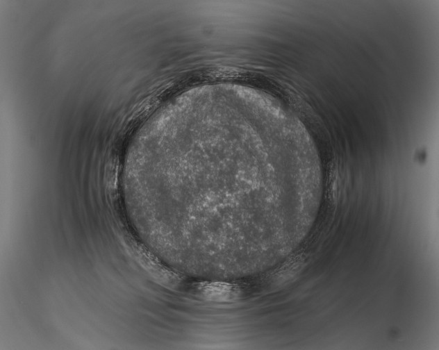 X0000116000230200912101325