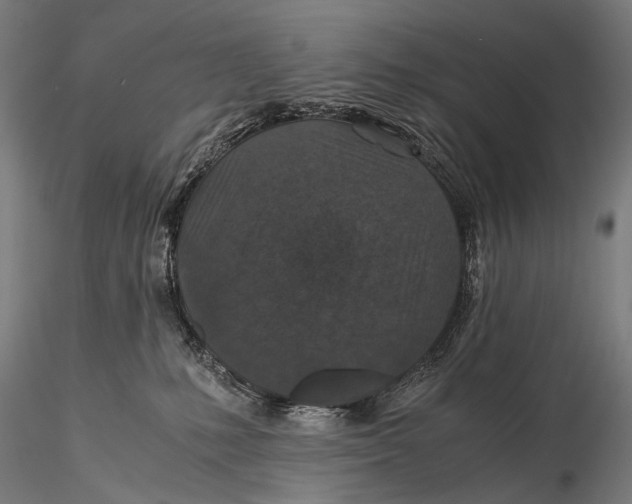 X0000116000231200912101325