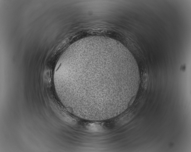 X0000116000232200912101325