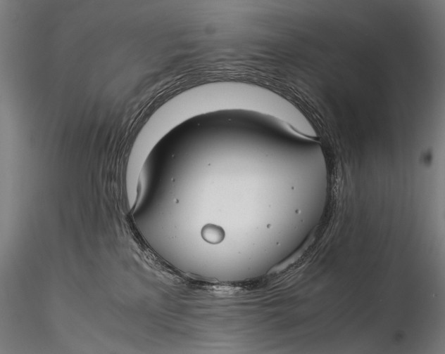 X0000116000233200912101325