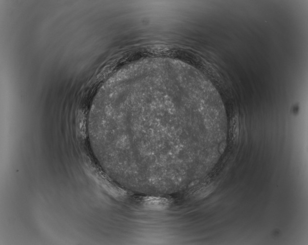 X0000116000234200912101325