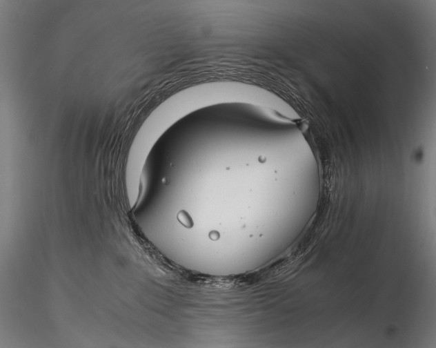 X0000116000235200912101325