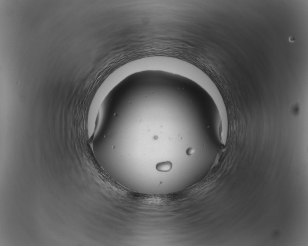 X0000116000237200912101325