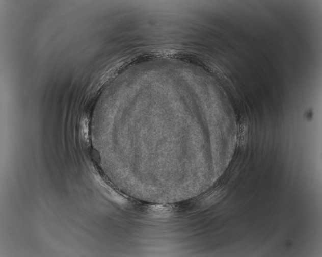 X0000116000238200912101325