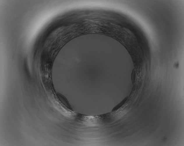 X0000116000239200912101325