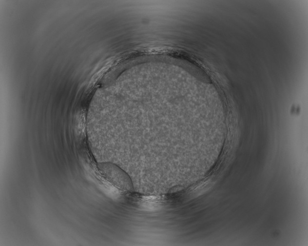 X0000116000240200912101325