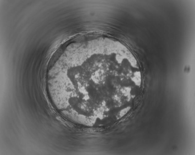 X0000116000241200912101324