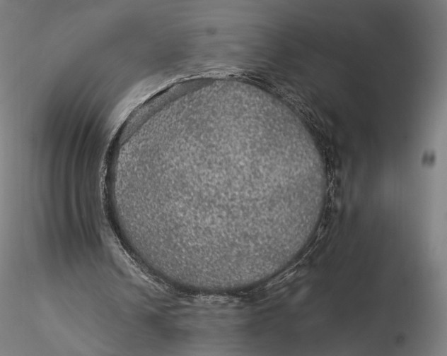 X0000116000242200912101324