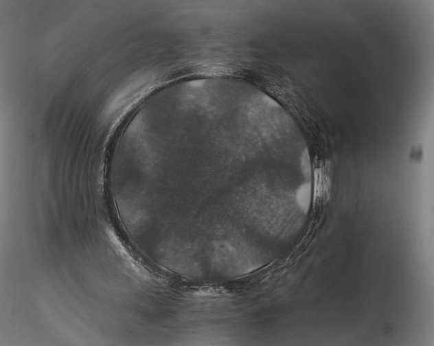 X0000116000243200912101324