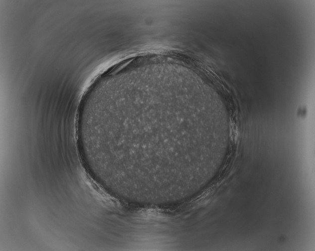 X0000116000244200912101324