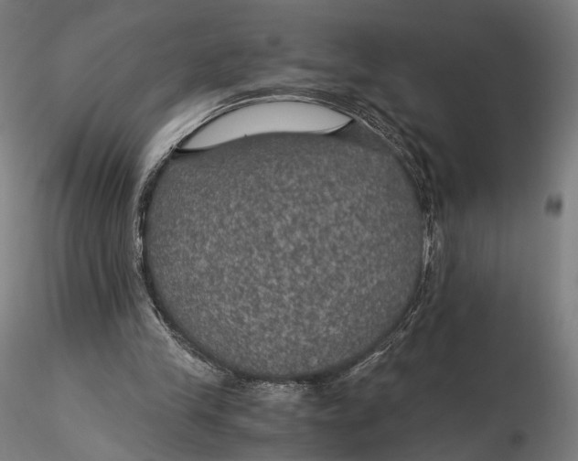 X0000116000245200912101324