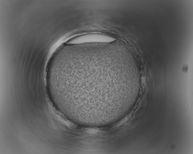 X0000116000246200912101324