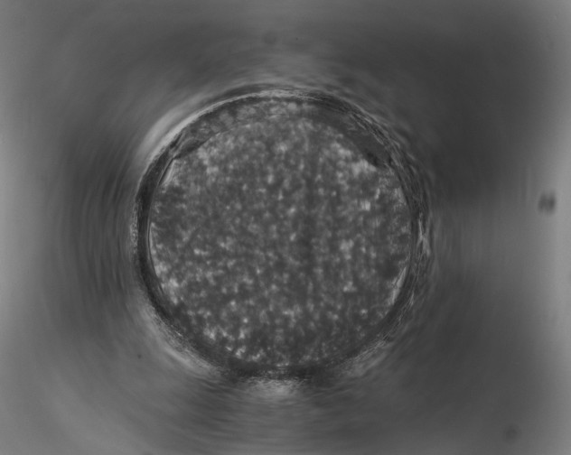 X0000116000247200912101324