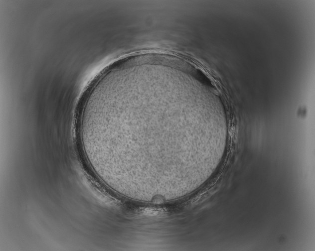 X0000116000248200912101324