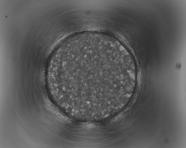 X0000116000249200912101324