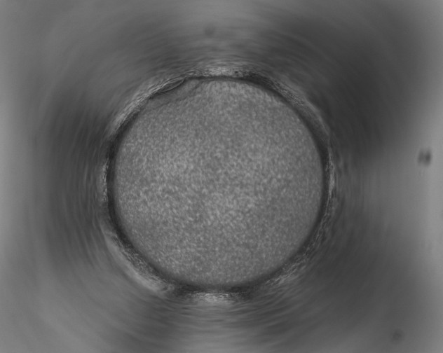 X0000116000250200912101324