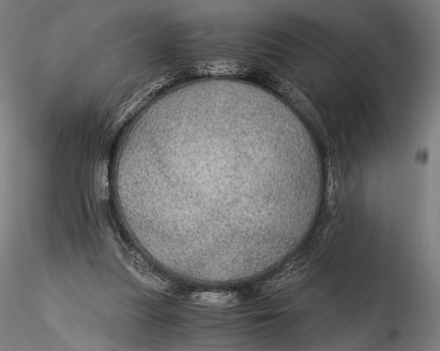 X0000116000251200912101324