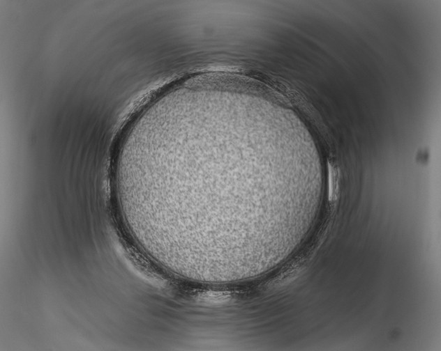 X0000116000252200912101324