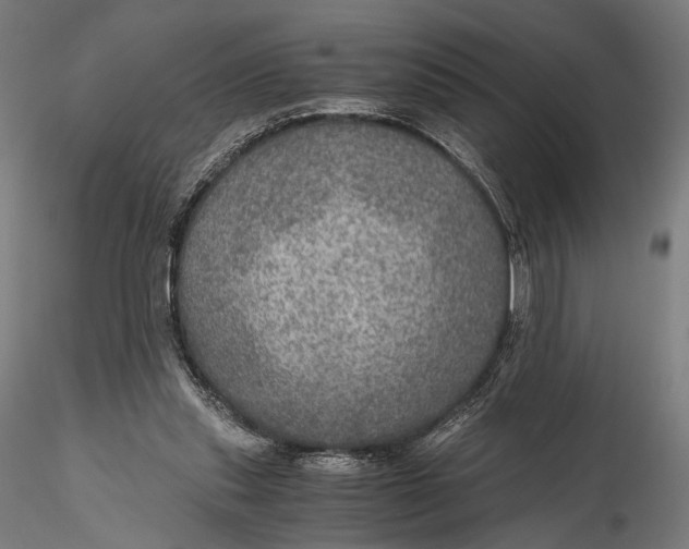 X0000116000253200912101324