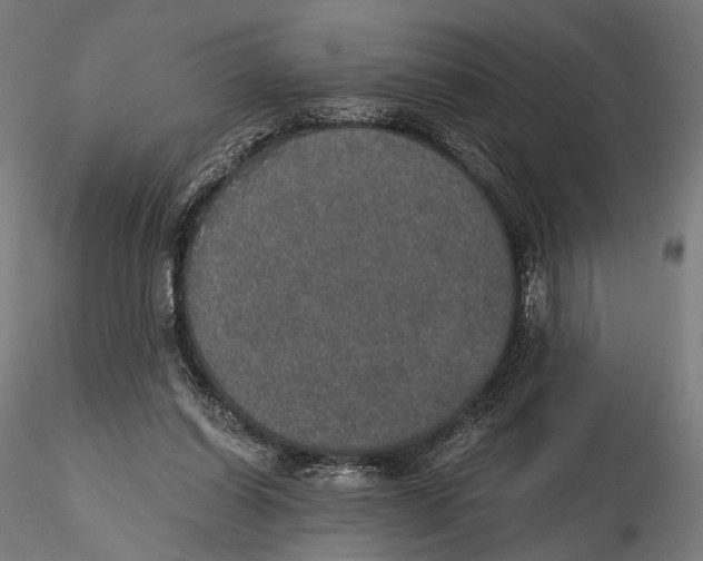 X0000116000254200912101324