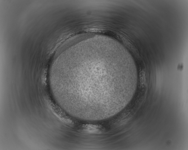 X0000116000255200912101324