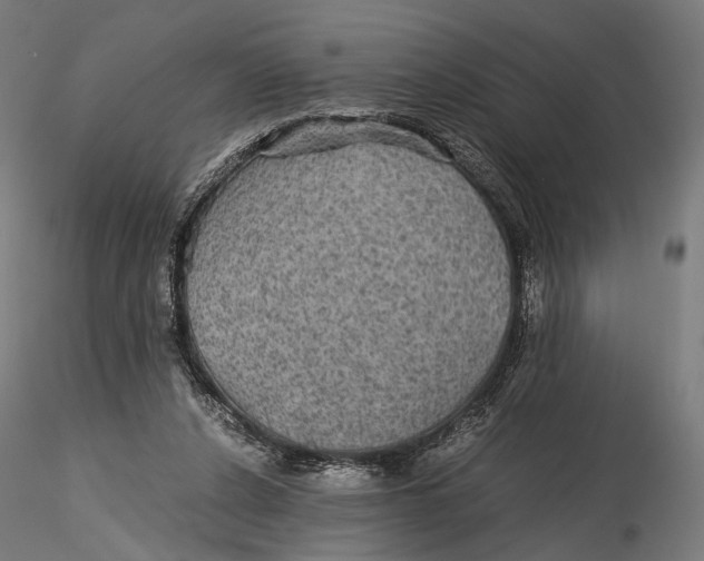 X0000116000256200912101324