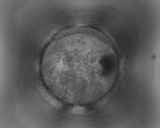 X0000116000257200912101324