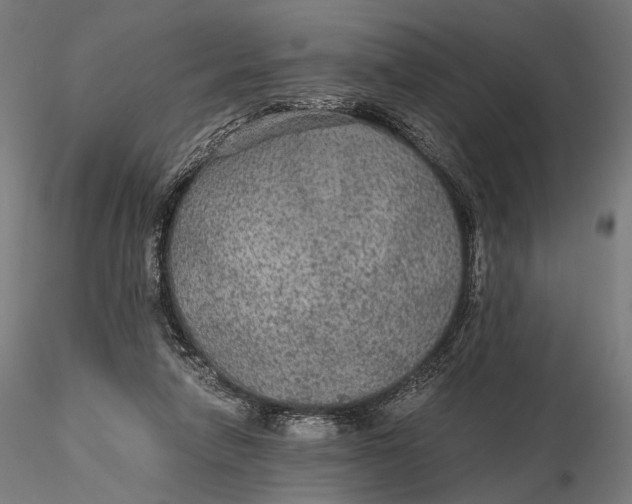 X0000116000258200912101324