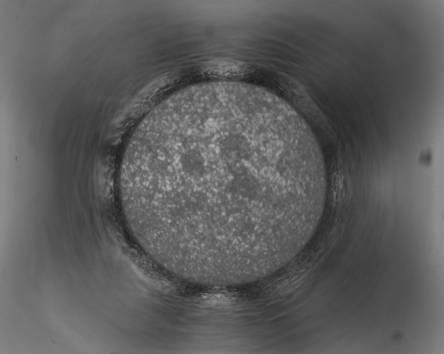 X0000116000259200912101324